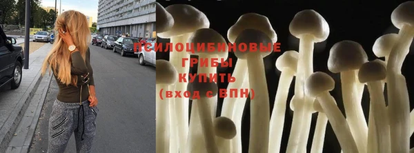 спайс Новозыбков