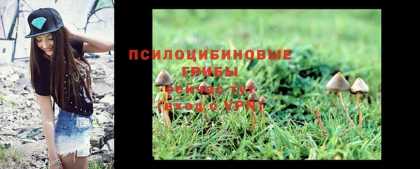 стаф Нягань