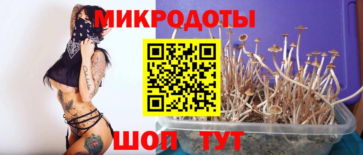 Галлюциногенные грибы Psilocybine cubensis  Галлюциногенные грибы GOLDEN TEACHER  Вход с VPN  Холмск 